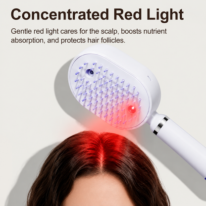 Velora 4 in 1 Self-Cleaning MIst Massage Hair Brush